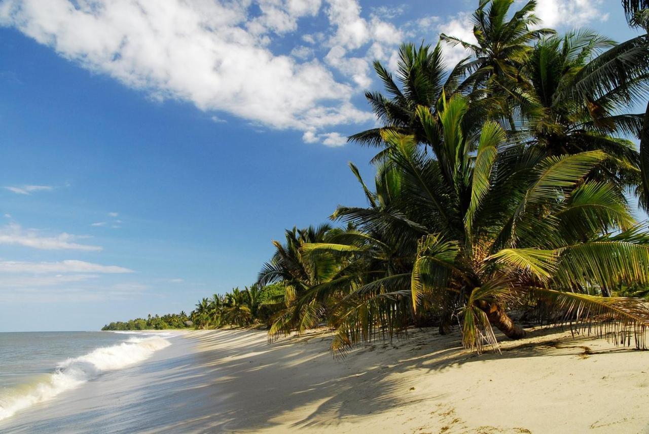 Embedodo Beach House, Ushongo Beach, Pangani Ushongo Mabaoni Exterior photo